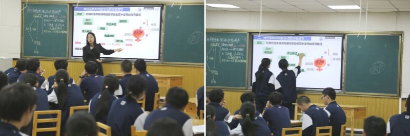 4.jpg 4.jpg